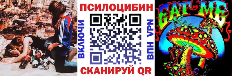 Псилоцибиновые грибы MAGIC MUSHROOMS  где найти наркотики  Адыгейск 